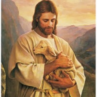 He Shall Gather the Lambs with His Arm ~ Isaiah 40:11